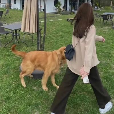 男人四十打功夫